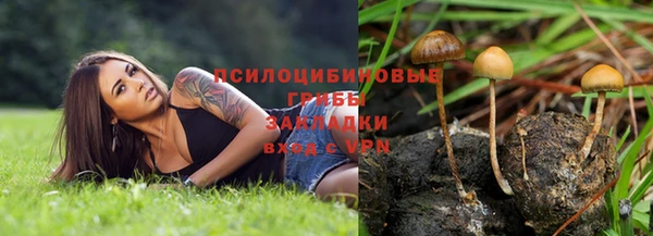 герыч Липки